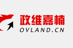 合肥GEO优化服务解析：政维嘉楠本地化实践