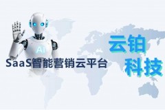 GEO赋能品牌AI曝光：西安云铂的西北实践