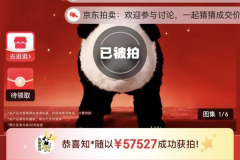 真顶流！魔法原子春晚同款“国宝熊猫机器人”拍卖落槌 单台成交价57,527元