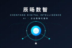 河南辰旸数智：AI营销时代的区域化实践探索