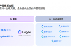 企业管理的AI“操作系统”来了