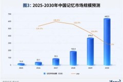 中国记忆市场竞争格局：2030 年规模 将达 642.5 亿元，谁在领导者象限