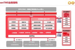 TMS 系统怎么选？企业仓运一体化数智化建设指南