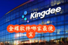 中小企业软件采购：原厂与授权服务商选型
