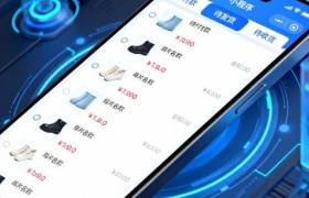 小程序开发的双面解析与实战价值