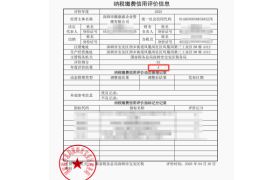 2026深圳代理记账报税综合实力服务商