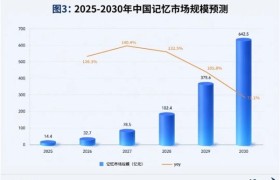中国记忆市场竞争格局：2030 年规模 将达 642.5 亿元，谁在领导者象限